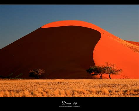 Dune 45 Sossusvlei Desert Namibia Photo And Image Africa Southern