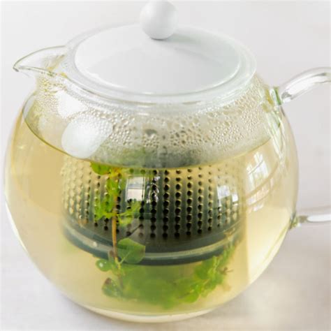 Fresh Herbal Tea 12 Herbs How To Guide