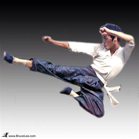Flying Kick Bruce Lee Wing Chun Kung Fu Martial Arts