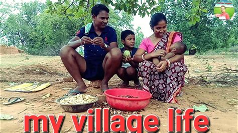 My Village Life मेरा गाँव की जिंदगी खुसी Dhengurpani Francistopnovlogs Youtube