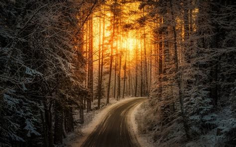 Nature Landscape Sunrise Sunlight Road Winter Forest Snow Trees Finland