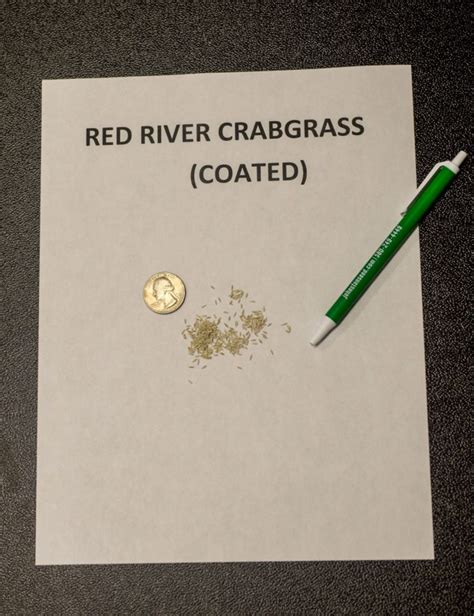 Red River Crabgrass Johnston Seed Company