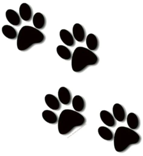 Cougar Paw Print Outline Clipart Best