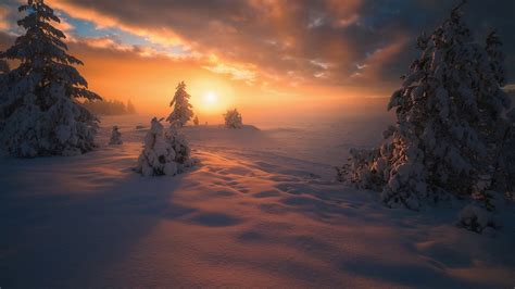 Landscape And Trees Covered With Snow During Winter Sunset