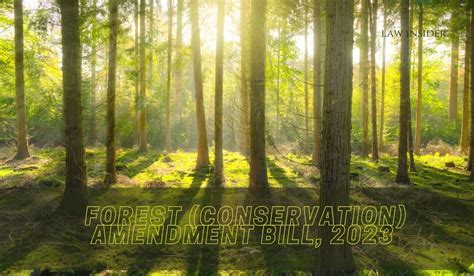 Parliament Passes Forest Conservation Amendment Bill 2023 Rajya Sabha Approves Contentious