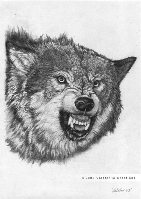 Wolf Portrait By Valeforho On Deviantart
