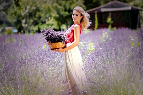Free Images Nature Person Plant Girl Woman Meadow Flower