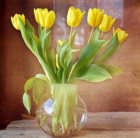 Images Gratuites Fleur Verre Tulipe Vase Jaune Tulipes