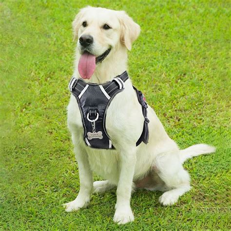 Winsee Dog Harness No Pull Walking Pet Vest Harness With Handle And