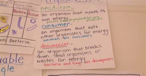 Producer Consumer Decomposer Anchor Chart With