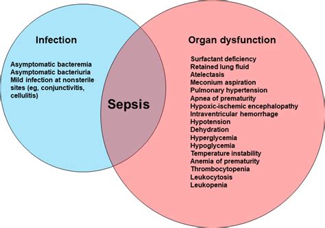 Biomarkers For The Diagnosis Of Neonatal Sepsis Clinics In Perinatology