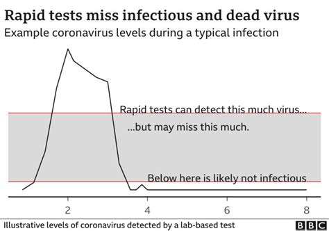 Covid Rapid Tests Useful Public Health Tool Bbc News