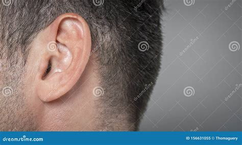 Human Ear Detail Close Up Macro Shot Stock Image Image Of Care