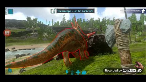 Triceratops Wow Ark YouTube