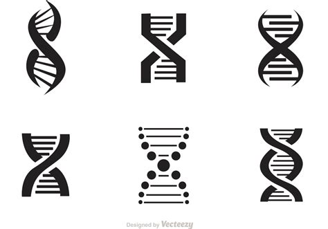 Double Helix Vector At Getdrawings Free Download