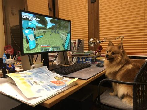 My Dog Playing Minecraft Gaming