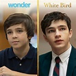 White Bird Movie Still - #646178