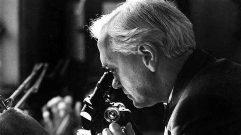 Alexander Fleming Biograf A Educaci N Descubrimiento Y Hechos