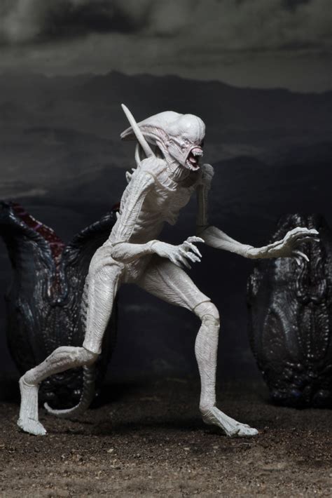 Neca alien action figures action figures. NECA Reveals Neomorph & Xenomorph Alien Covenant Figures ...