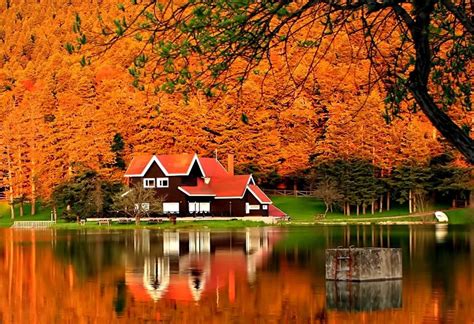 Rest Fiery River Cottage Forest Lake Foliage Mirrored Shore Autumn Fall