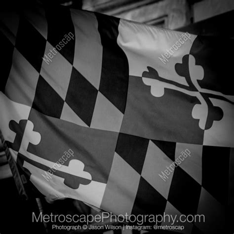 Black And White Photography Print Of The Maryland Flag On