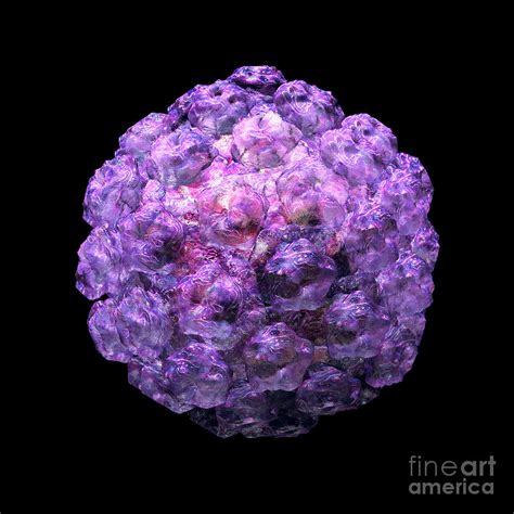 Human Papilloma Virus 10 Digital Art By Russell Kightley Pixels