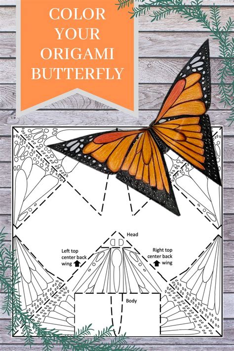 Origami Butterfly Coloring Pages Set 1 Printable Paper Etsy In 2023