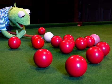 Billiards Balls Black Kermit Frog Sport Green Color Free Image