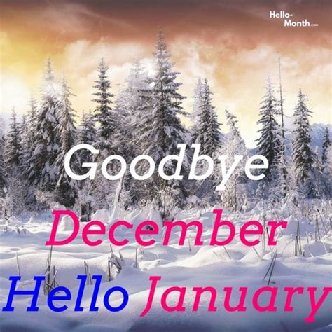 Goodbye December Hello January  Hello January January January