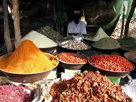 Spices An Ancient Trade Discovered From Archeology