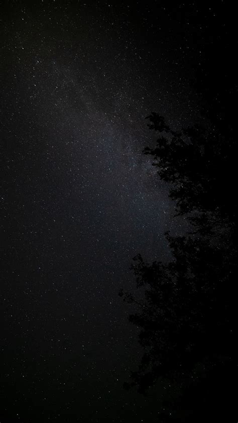 Download Wallpaper 1080x1920 Night Tree Starry Sky Stars Nebula