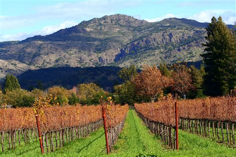 Fileautumn In Napa Valley Vineyards