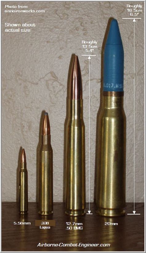 Four Major Rifle Calibers From Smallest To Biggest Ammo