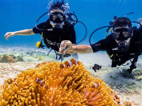 Scuba Diving In Thailands Phi Phi Island — No Destinations