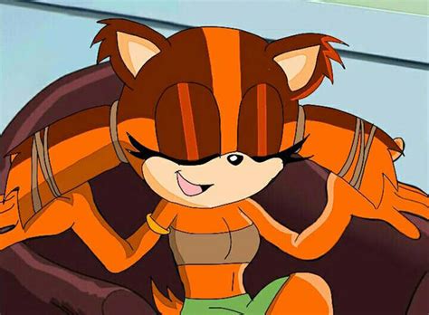 Sticks The Badger In Sonic X Style By Ciaradarragh100 On