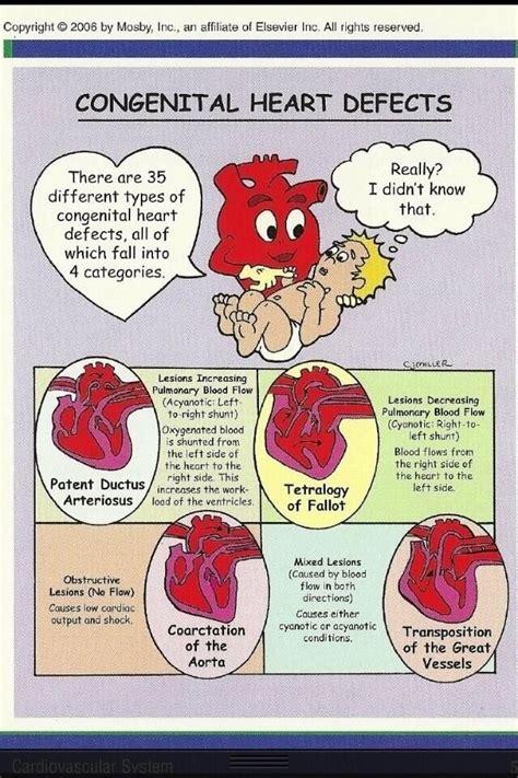 Congenital Heart Defects Diagrams