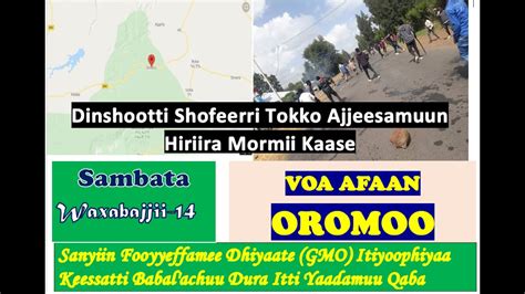 Voa News Afaan Oromo Sundayjune 14 2020oduu Afaan Oromoo Dilbatavoa