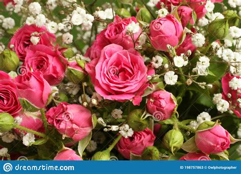 Bouquet Of Small Pink Roses On A Green Background Closeup Stock Image
