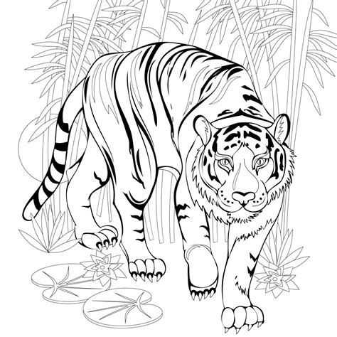 Coloriage de Tigre tous nos dessins à imprimer gratuits