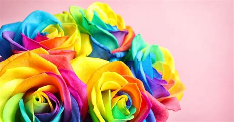 Discover more posts about creative writing, writers, writers block, writeblr, novel writing, writing community, and writing. 9 Gay and Lesbian Wedding Flowers to Get Your Creativity ...