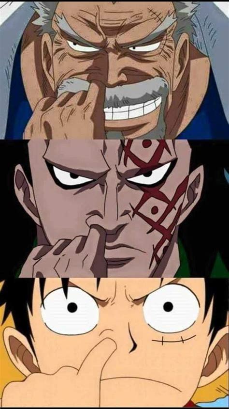 Berbagai Fakta Menarik Dari Ayah Luffy Monkey D Dragon