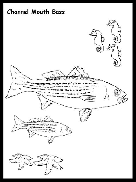 Simply do online coloring for bigmouth bass fish coloring pages directly from your gadget, support for ipad, android tab or using our web feature. Largemouth Bass Coloring Page Coloring Pages