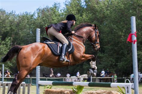 Person Riding A Horse · Free Stock Photo