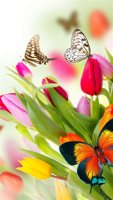 Wallpaper Butterfly Flowers Tulips 4k Nature 14993
