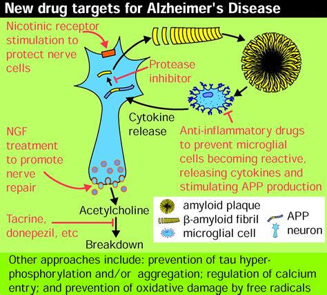 From Mechanisms To Drugs In Alzheimers Disease The Lancet