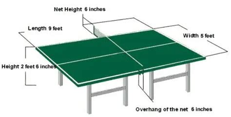 Playing Area Of Table Tennis