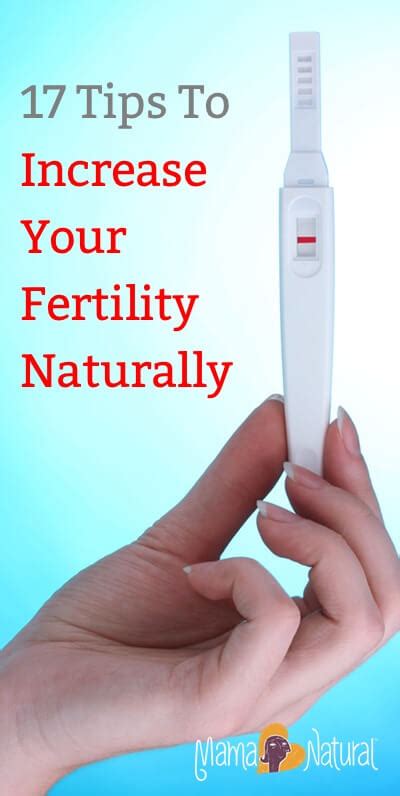 Increase Fertility Naturally Tips To Get Pregnant Mama Natural