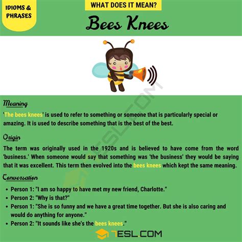 Bees Knees How To Use The Popular Phrase Bees Knees Correctly 7esl