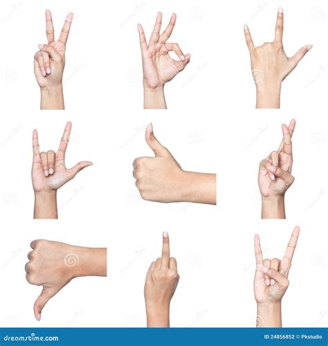 Hand Signs Stock Photo Image Of Crossed Fingers Middle 24856852
