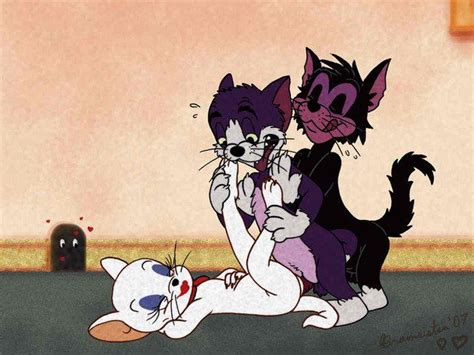 Tom And Jerry Cartoon Porn Telegraph